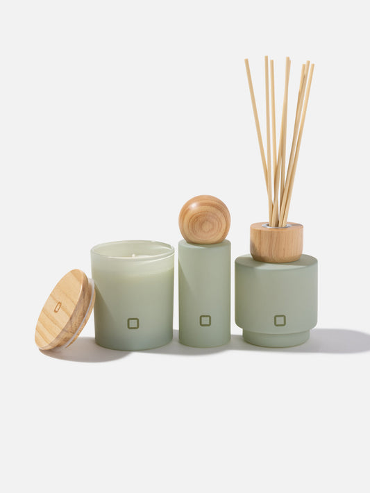 Basil & Oakmoss Scented Shea Candle 7.2OZ